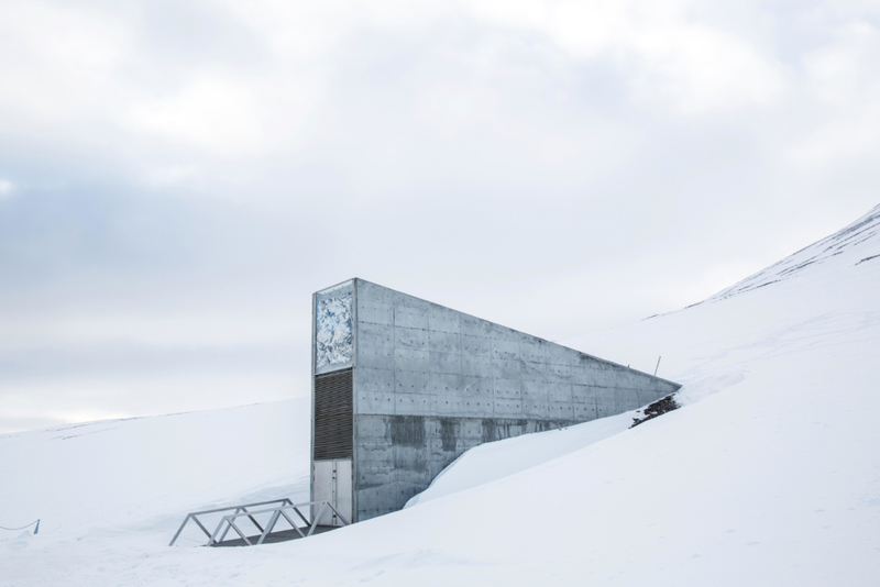 La bóveda de semillas de Svalbard | Alamy Stock Photo