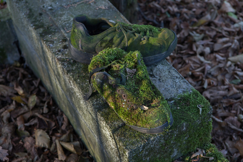 Moos-Schuhe | Alamy Stock Photo