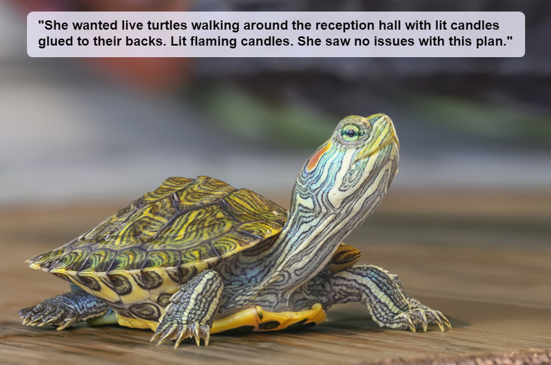 Tränen der Schildkröte | Shutterstock