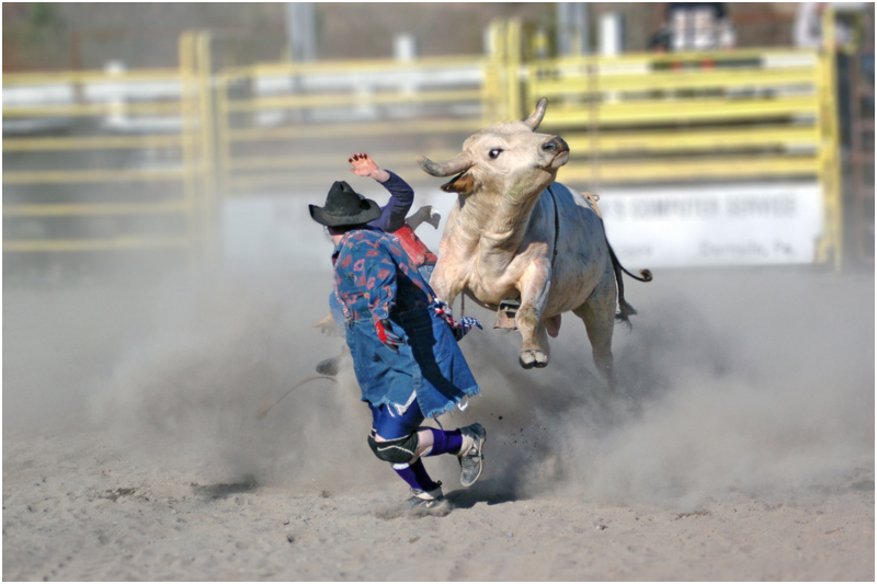 ¡Vamos vaqueros! | Shutterstock