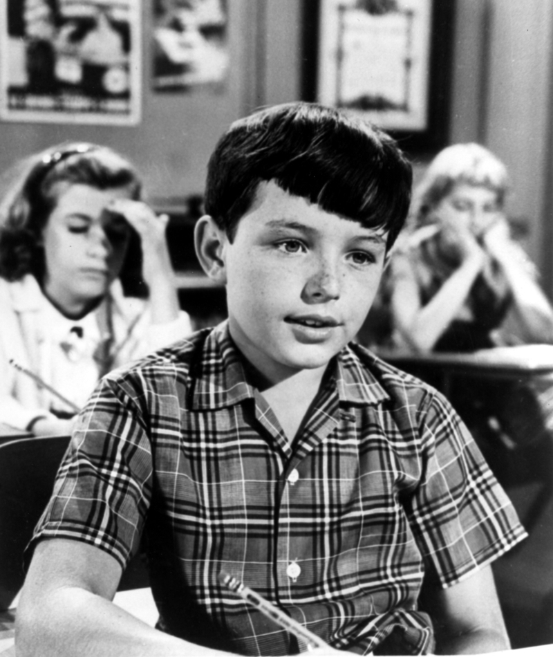 Jerry Mathers quería ir a la escuela secundaria como los niños normales | MovieStillsDB Photo by MoviePics1001/production studio
