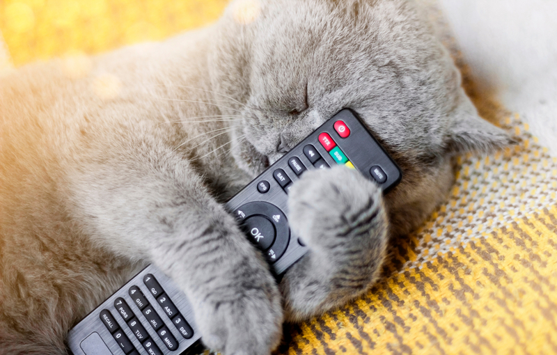 Television Remotes | Shutterstock